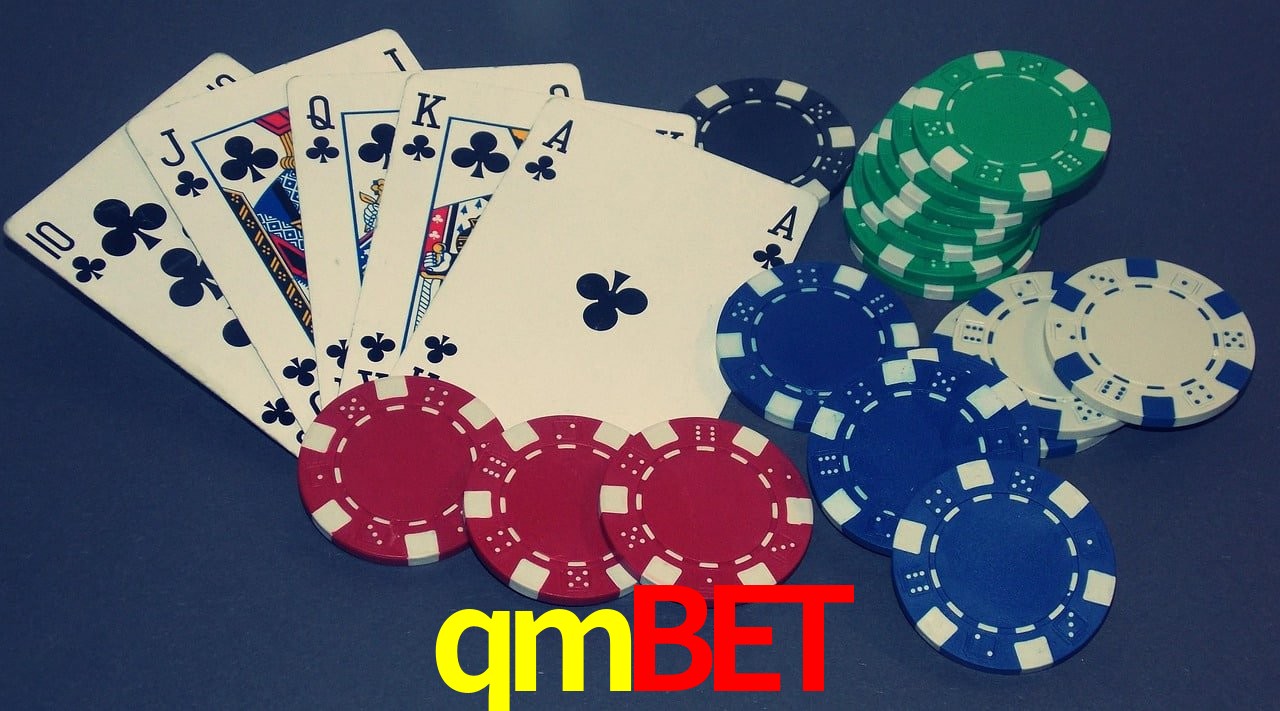 Platform Technology qmbet